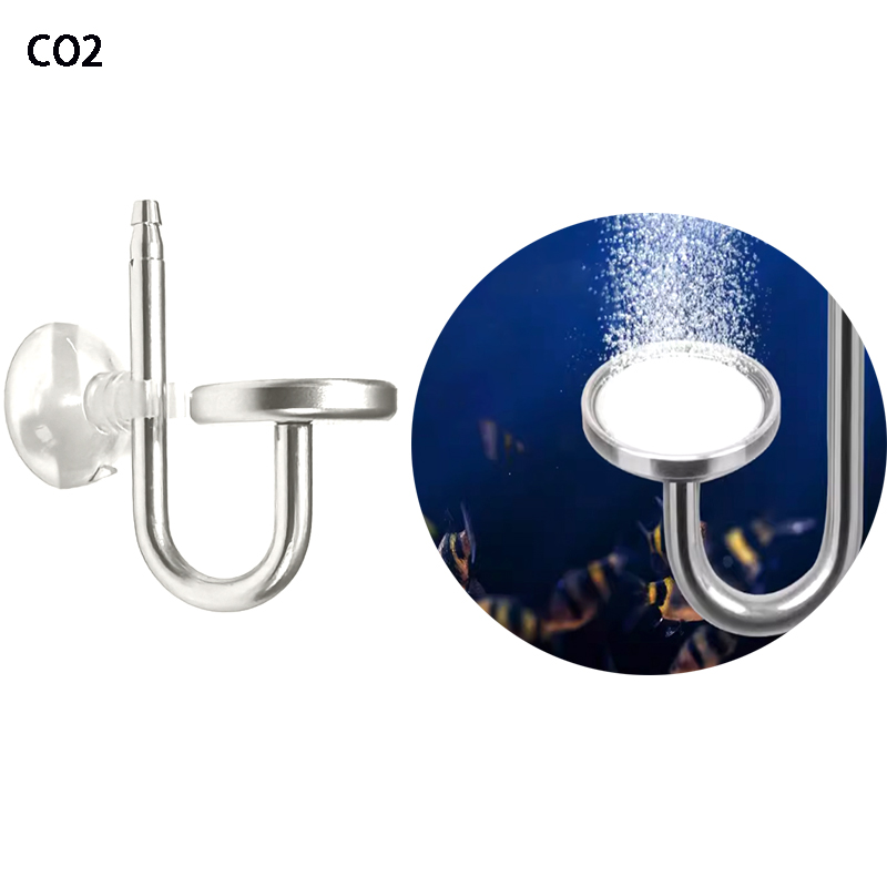 Aquarium Fish Photography - ZRDR Akvaryum CO2 Atomizer Balık Tankı
