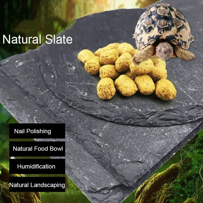 Aquarium Fish Pot - Doğal kayrak akvaryum Pet sürüngen besleyici