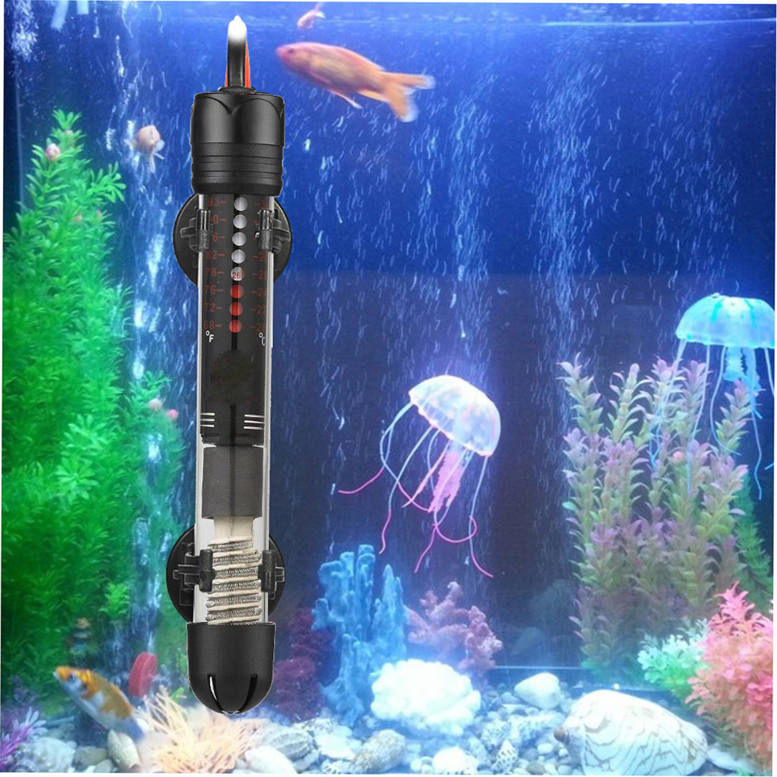 Aquarium Fish Live - Ev ve Yaşam Alanları Akvaryum Cam