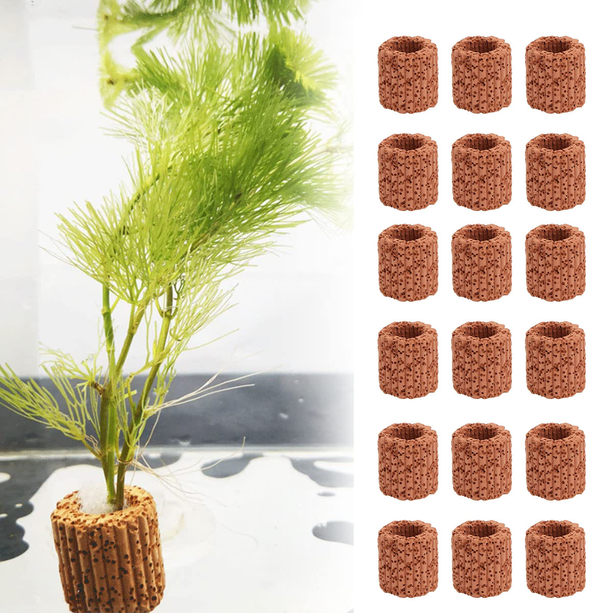 Aquarium Fish Pot - 10/20 adet sucul su tesisi sabit