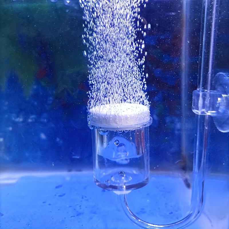 Aquarium Fish Photography - Akvaryum Cam CO2 Atomizer Difüzör Kabarcık
