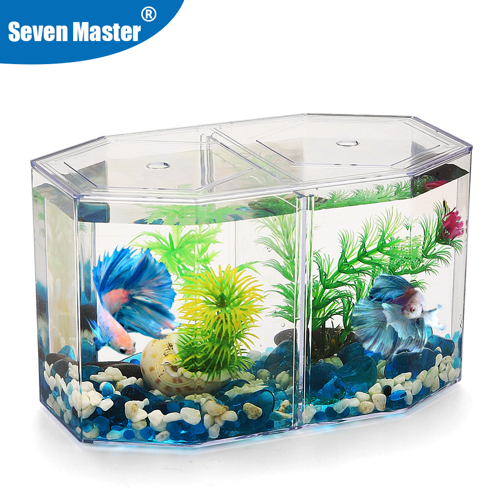 Aquarium Fish In Bowl - Akrilik Iki Bölünmüş Lepistes Balık Tankı