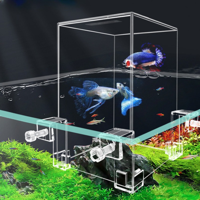 Aquarium Fish In Bowl - Yaratıcı akvaryum tankları negatif basınç balık