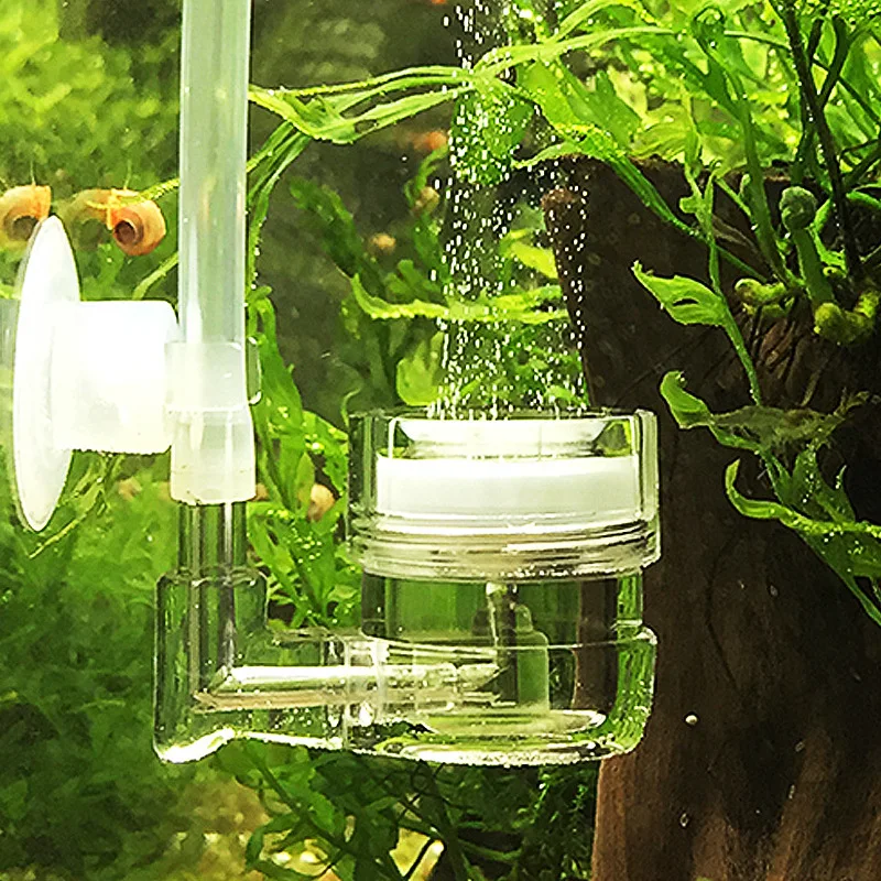 Aquarium Fish Live - Akvaryum 4'ü 1 Arada CO2 Difüzör