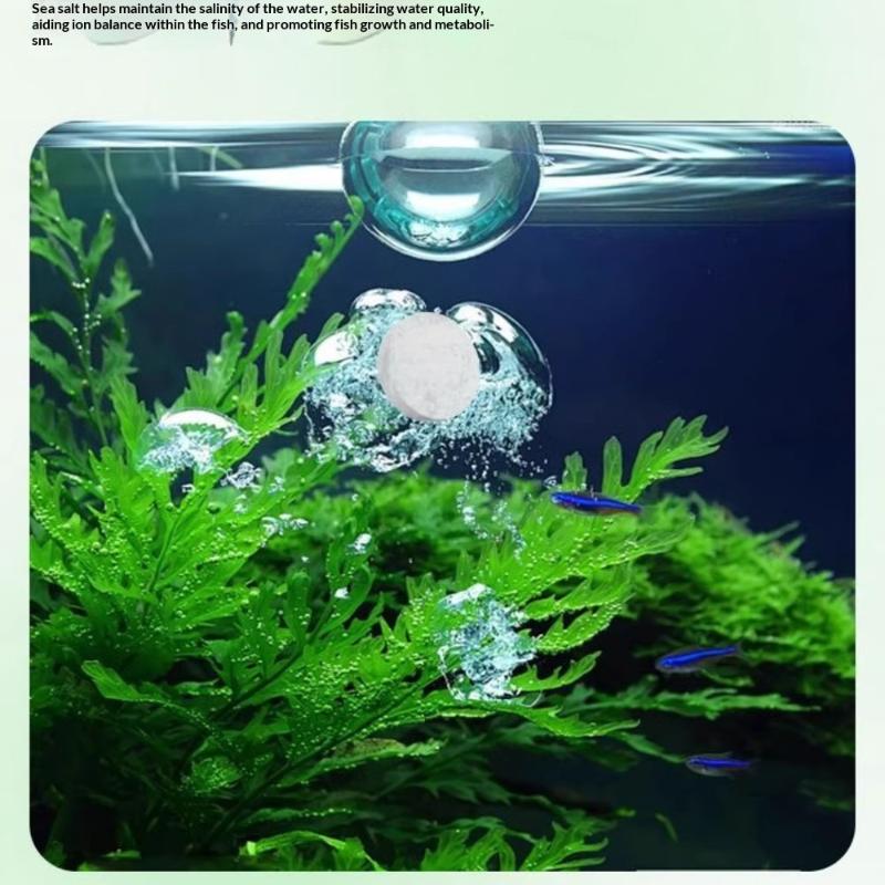 Aquarium Fish Black - Akvaryum Yosun Temizleyici Tabletler Su Bulanıklığı