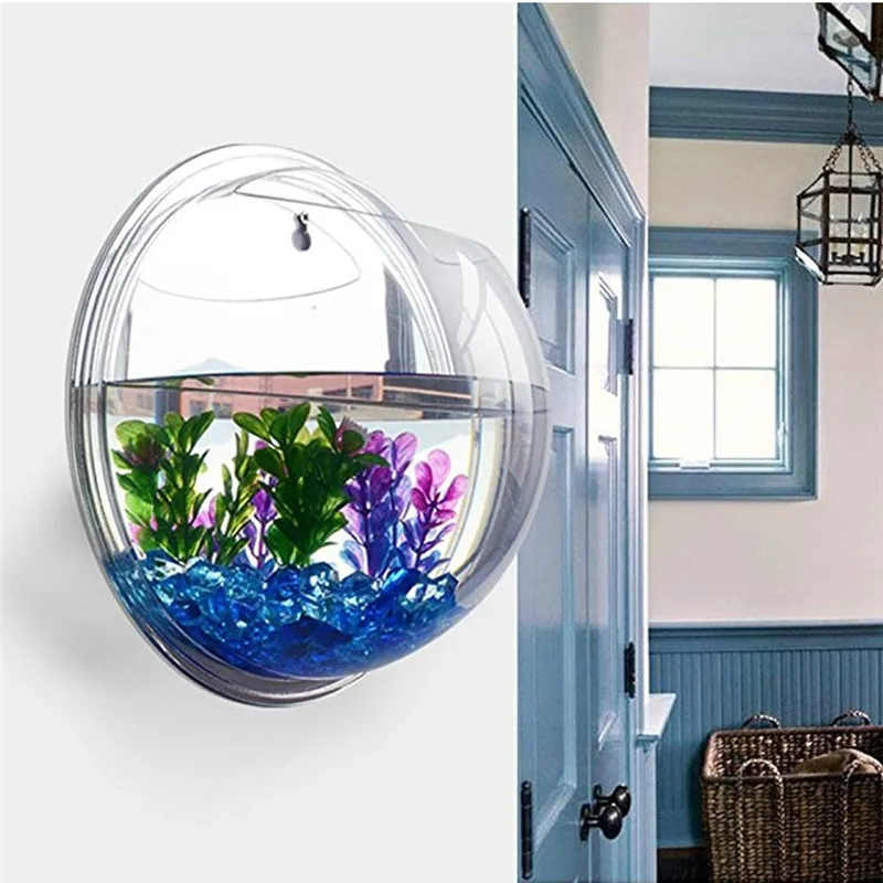 Aquarium Fish In Bowl - Şeffaf akrilik asılı duvar akvaryum, bitki