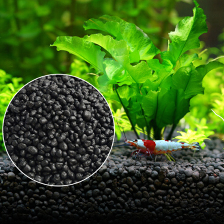 Aquarium Fish Photography - Akvaryum bitki tohumları toprak balık tankı