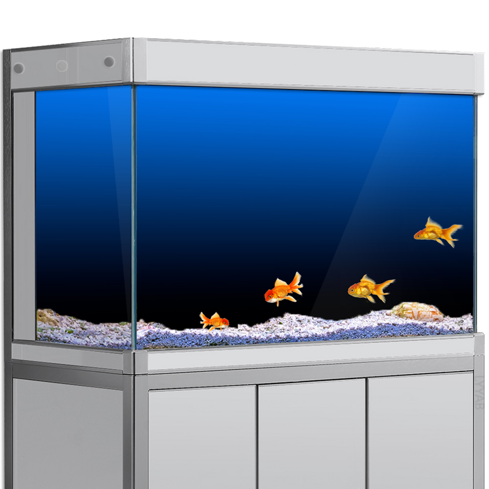 Aquarium Fish Black - Balık Tankı Arka Plan Etiket Siyah