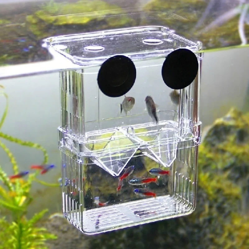 Aquarium Fish In Bowl - Çok Fonksiyonlu Balık Akvaryumu Yüksek Şeffaflıkta