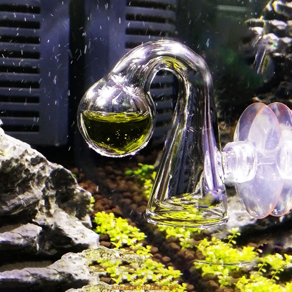 Aquarium Fish Photography - Monitör test cihazı akvaryum bitki aksesuarı