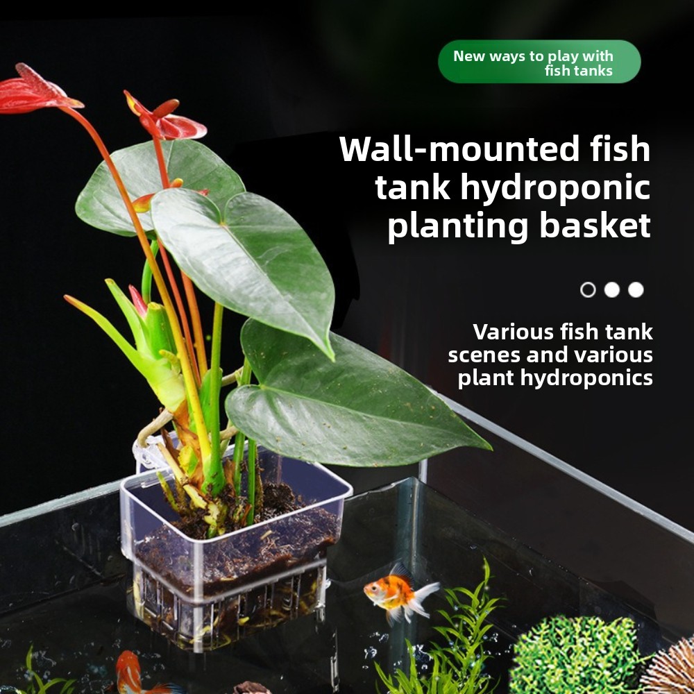 Aquarium Fish Pot - Akvaryum Hidroponik Dikim Sepeti Balık Kabarcıkları