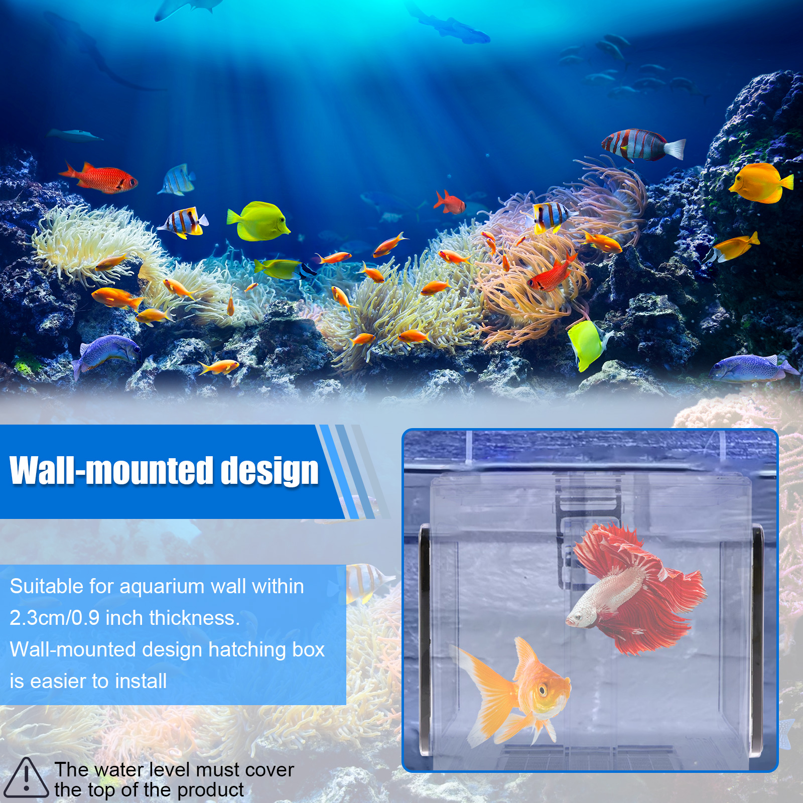 Akvaryum damızlık kutusu balık - Aquarium Fish In Bowl incelemesi ve fiyatı