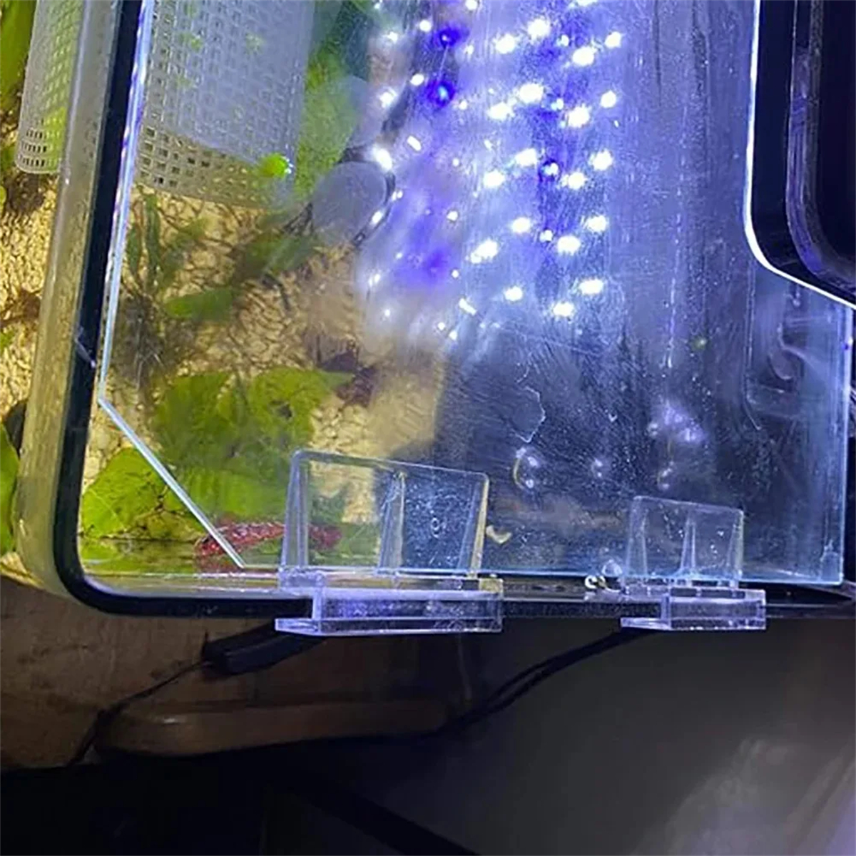 10 adet Şeffaf Akrilik Balık T - Aquarium Fish Photography incelemesi ve fiyatı
