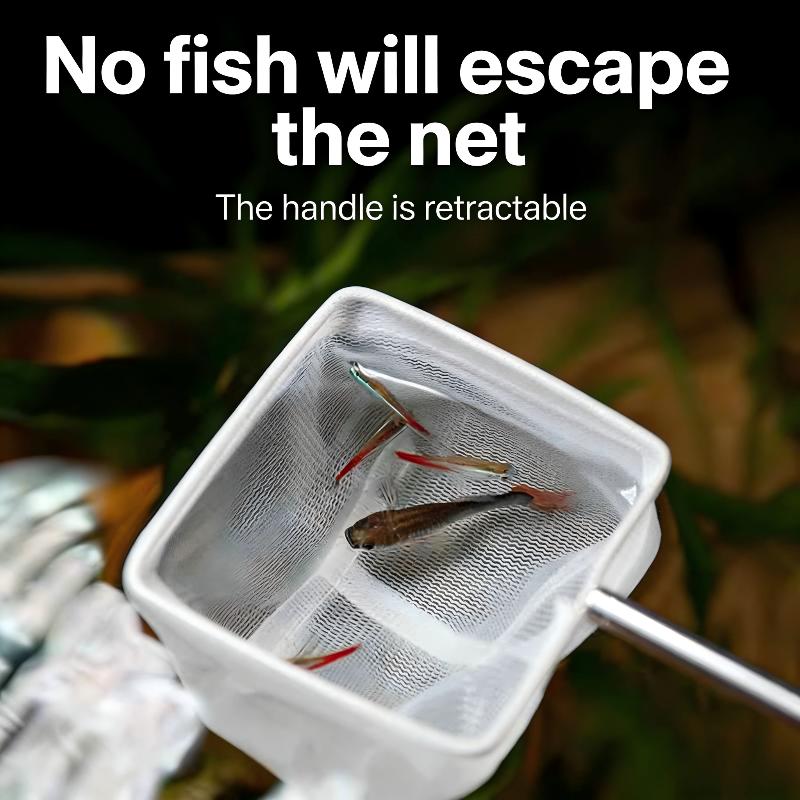 Balık yakalamak için karides t - Aquarium Fishland incelemesi ve fiyatı