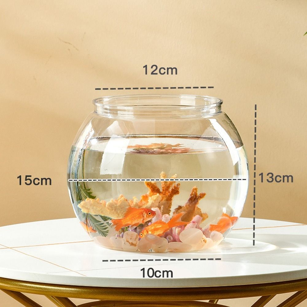 Ev Dekoru Şeffaf Yuvarlak Balı - Aquarium Fish In Bowl incelemesi ve fiyatı