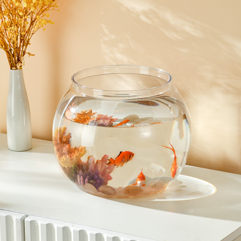Ev Dekoru Şeffaf Yuvarlak Balı - Aquarium Fish In Bowl incelemesi ve fiyatı