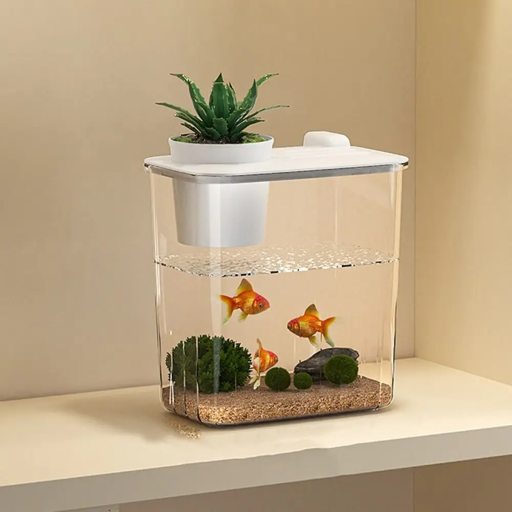 Akvaryum Masaüstü Balık Tankı  - Aquarium Fish In Bowl incelemesi ve fiyatı