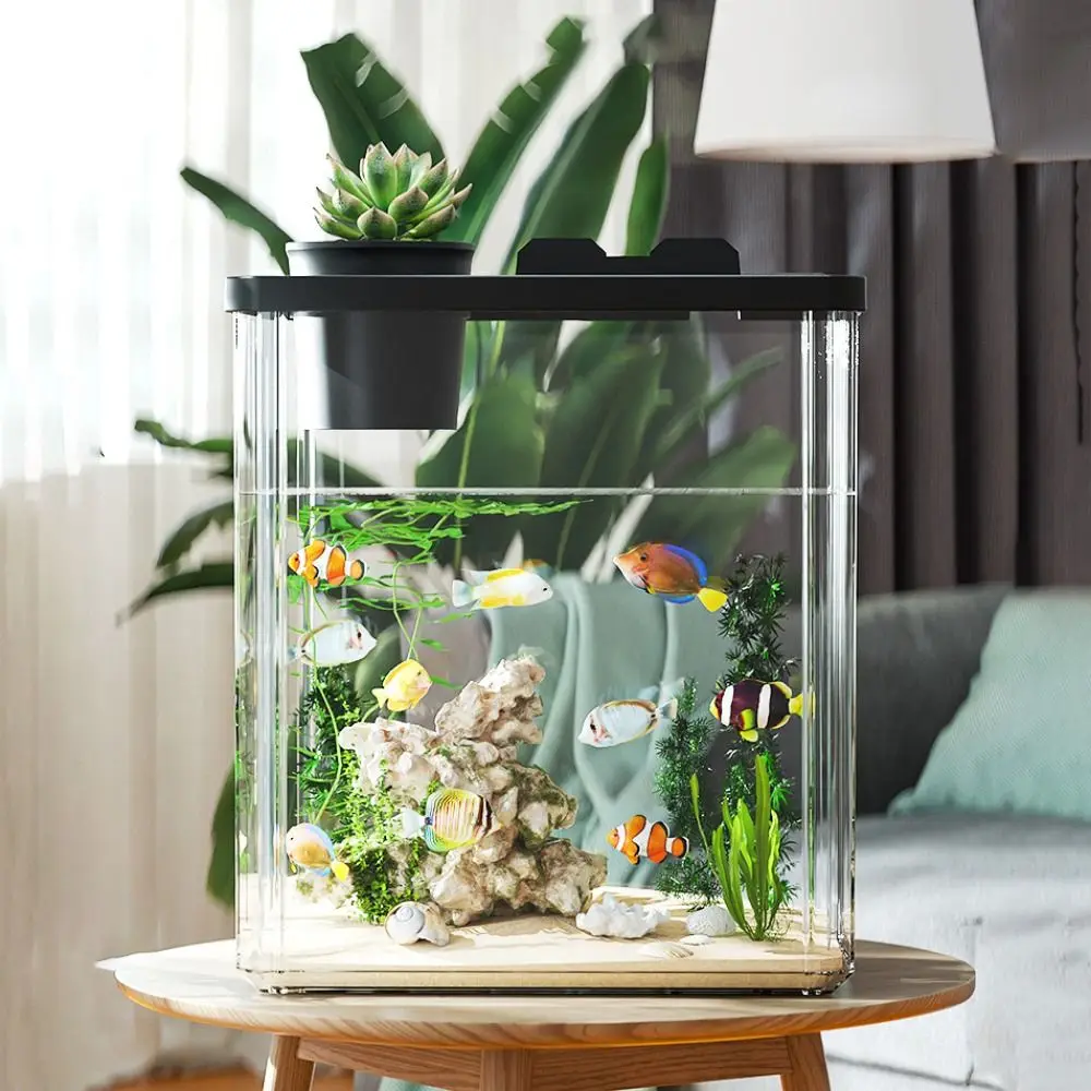 Akvaryum Masaüstü Balık Tankı  - Aquarium Fish In Bowl incelemesi ve fiyatı