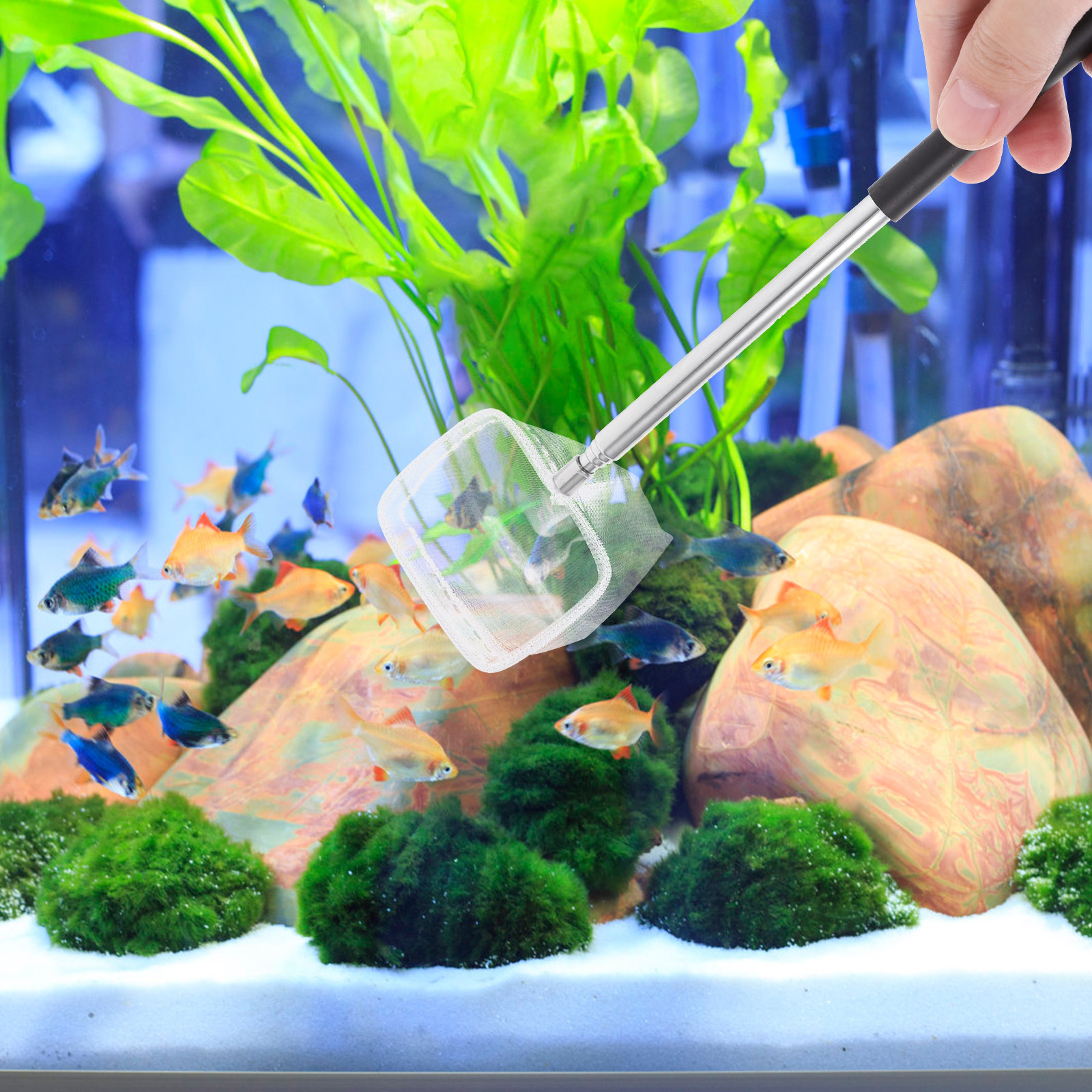 2 Adet Balık Dostu Paslanmaz Ç - Aquarium Fishland incelemesi ve fiyatı