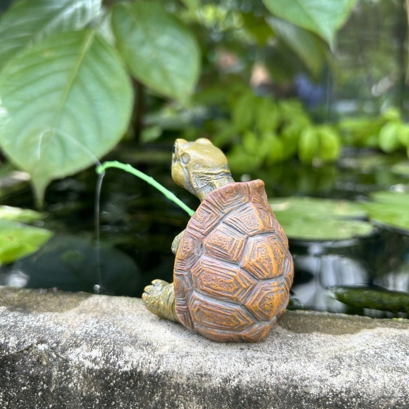 Kaplumbağa balık tutma akvaryu - Aquarium Fishing incelemesi ve fiyatı