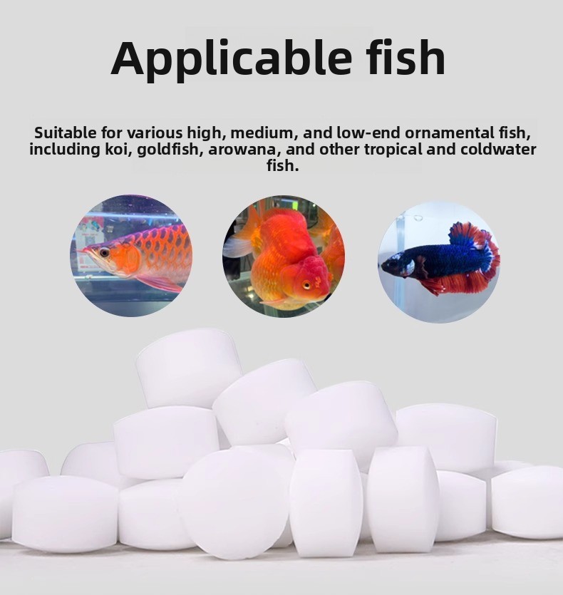 VOONLINE Tatlı Su Balıkları İç - Aquarium Fish Freshwater incelemesi ve fiyatı