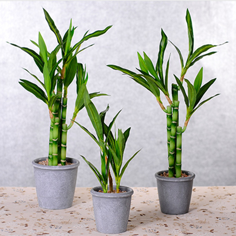 Yeni 40 cm rFtificial Şanslı B - Aquarium Fish Pot incelemesi ve fiyatı