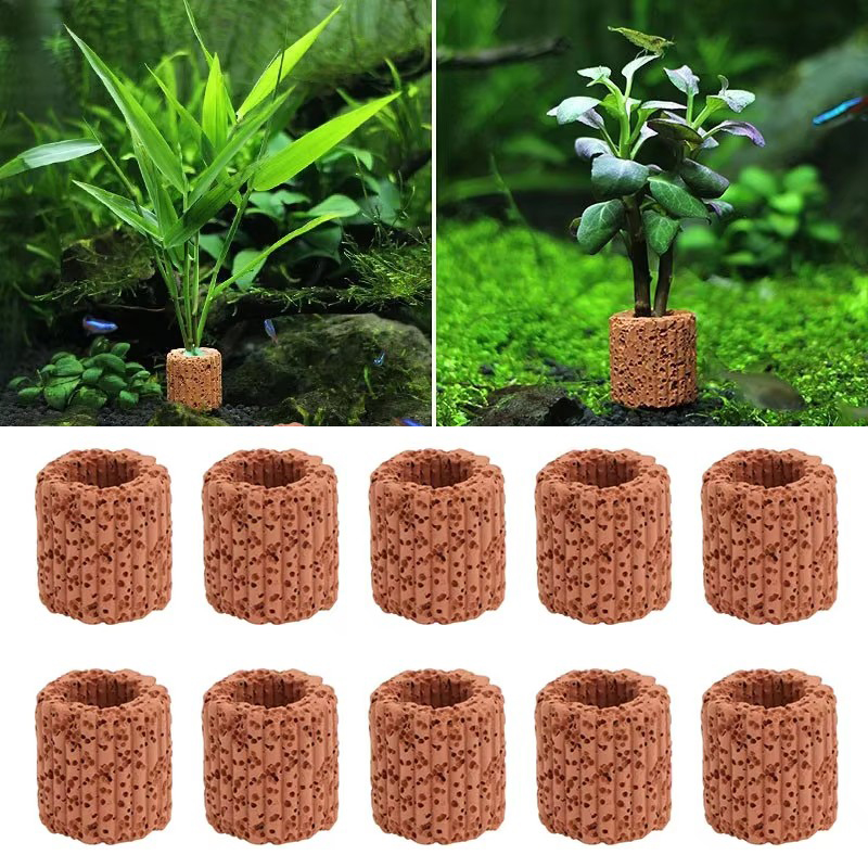 Su bitkisi sabit halka akvaryu - Aquarium Fish Pot incelemesi ve fiyatı