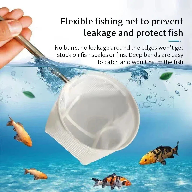 1, 2 adet paslanmaz çelik balı - Aquarium Fishland incelemesi ve fiyatı