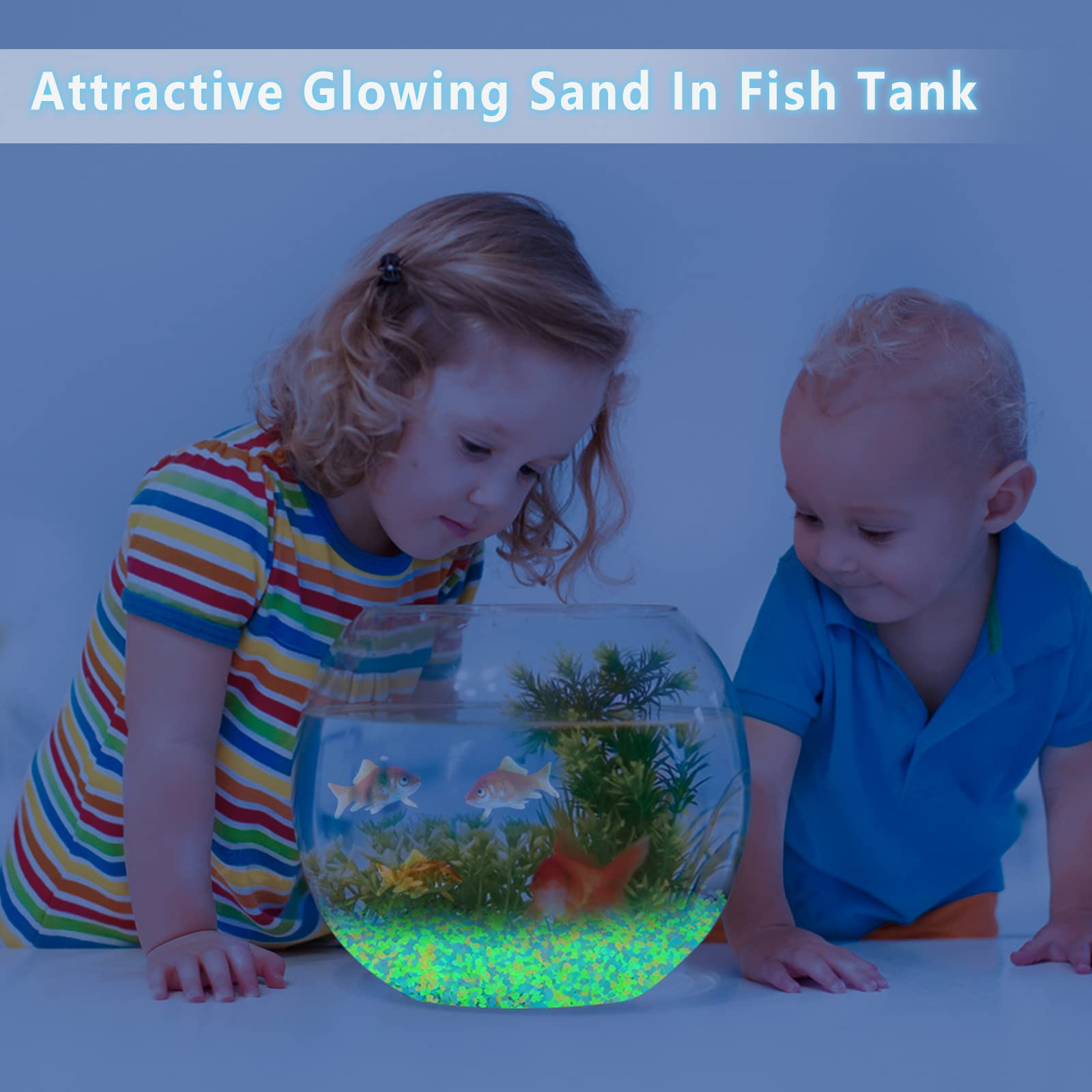 1000 Adet Işıklı Kum Karanlıkt - Aquarium Fishing incelemesi ve fiyatı