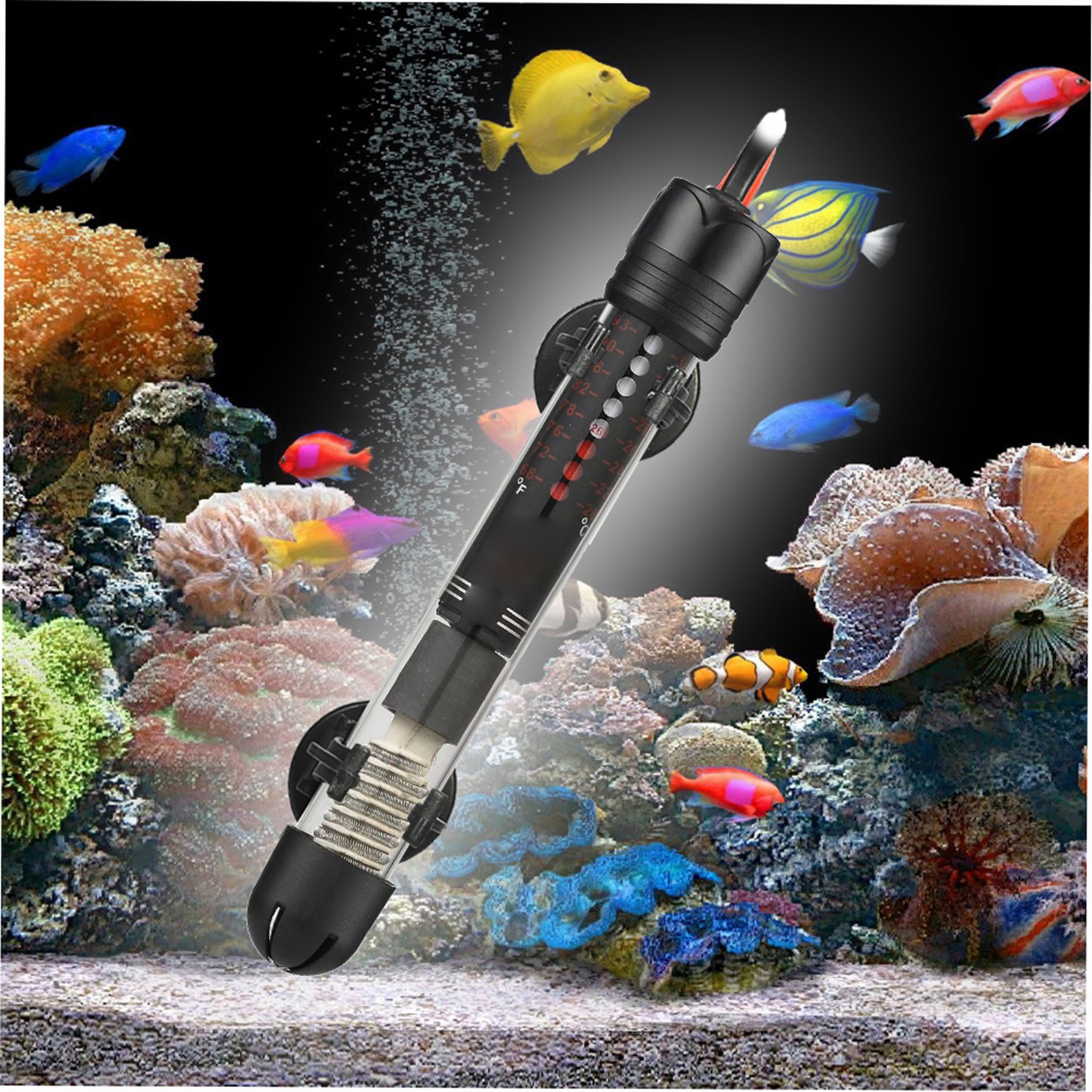 Ev ve Yaşam Alanları Akvaryum  - Aquarium Fish Live incelemesi ve fiyatı