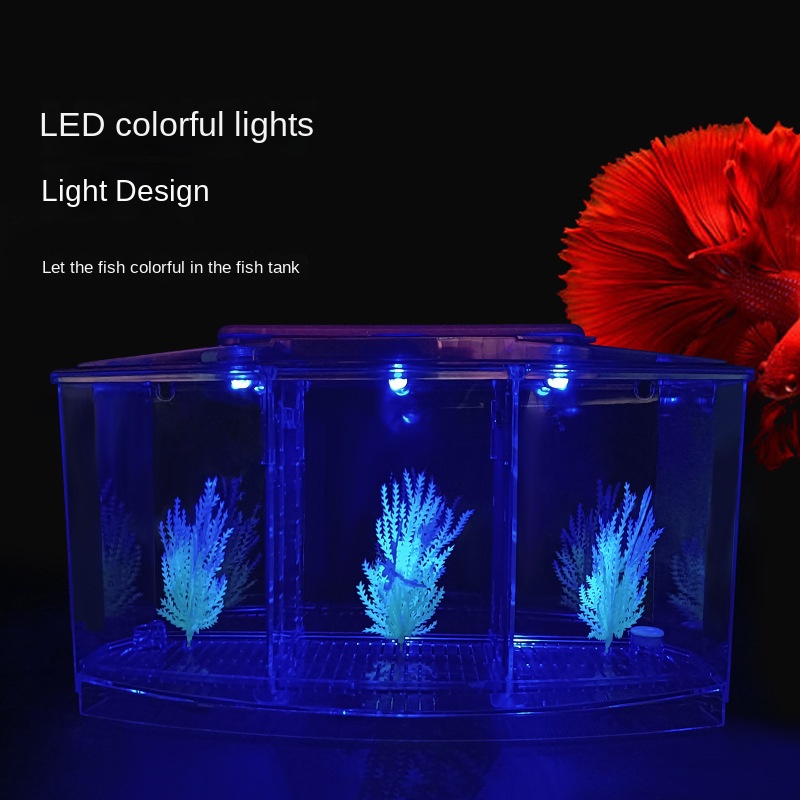 Mini küçük su tankı akvaryum,  - Aquarium Fish In Bowl incelemesi ve fiyatı