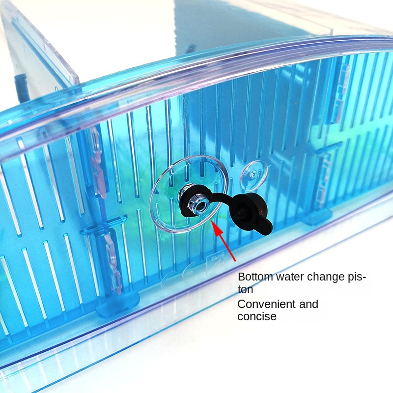 Mini küçük su tankı akvaryum,  - Aquarium Fish In Bowl incelemesi ve fiyatı
