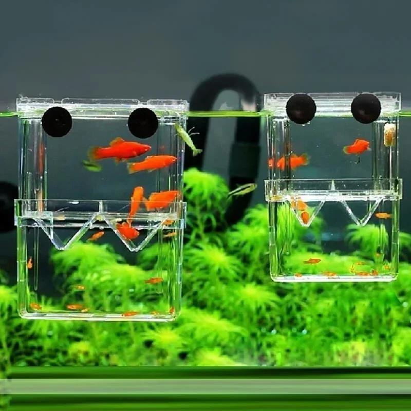 Şeffaf balık akvaryumu Yüksek  - Aquarium Fish In Bowl incelemesi ve fiyatı