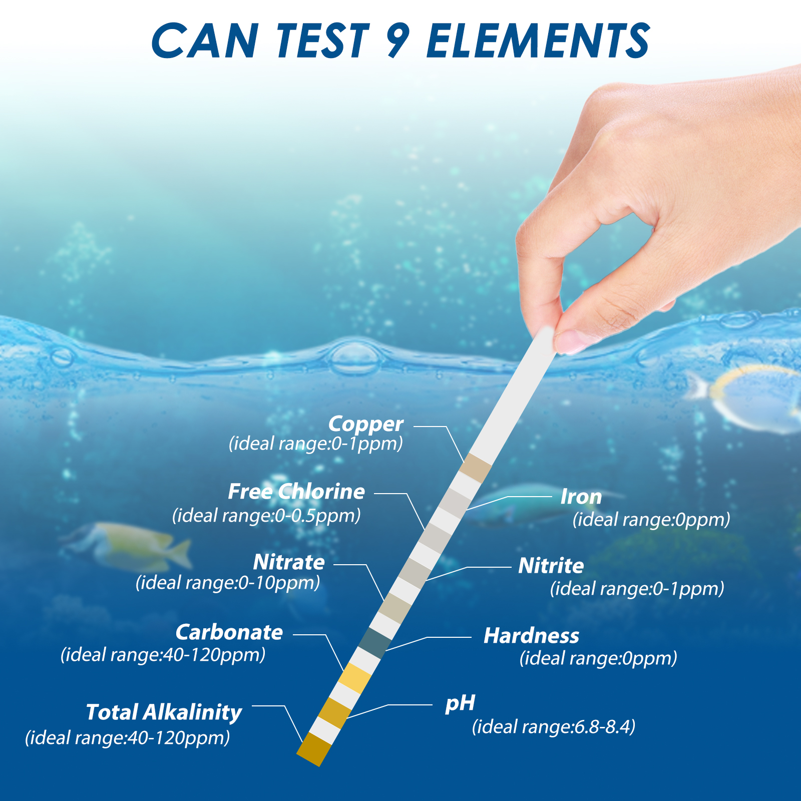 100 adet akvaryum Test şeritle - Aquarium Fish Freshwater incelemesi ve fiyatı