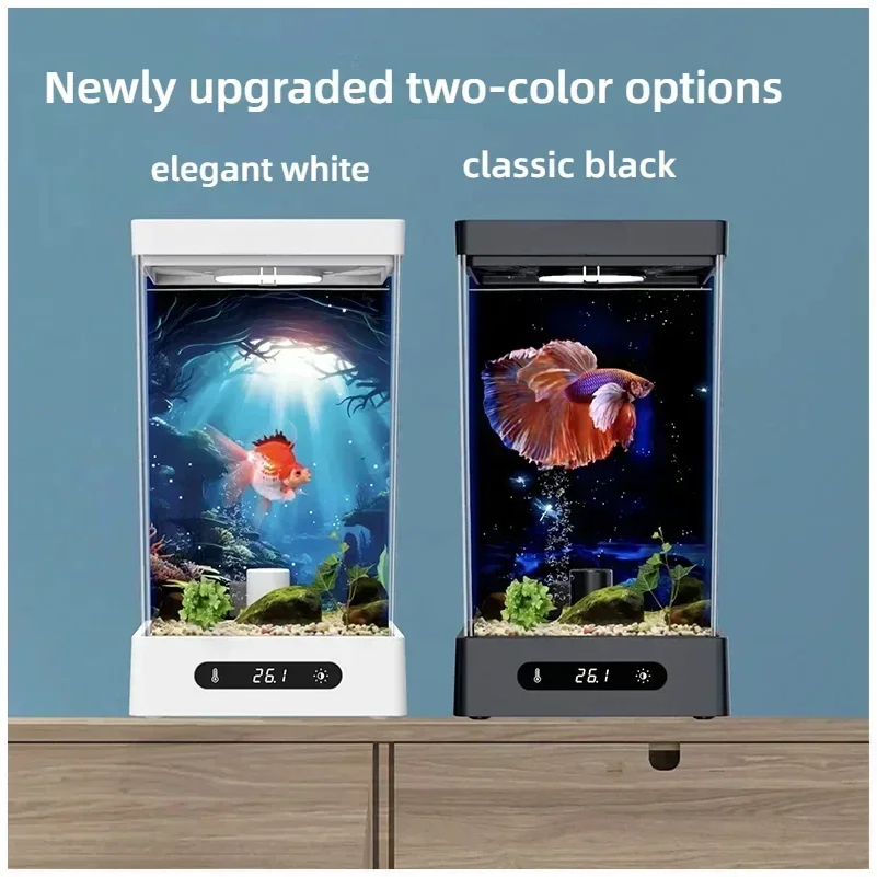 Akıllı beta balığı için özel b - Aquarium Fish In Bowl incelemesi ve fiyatı