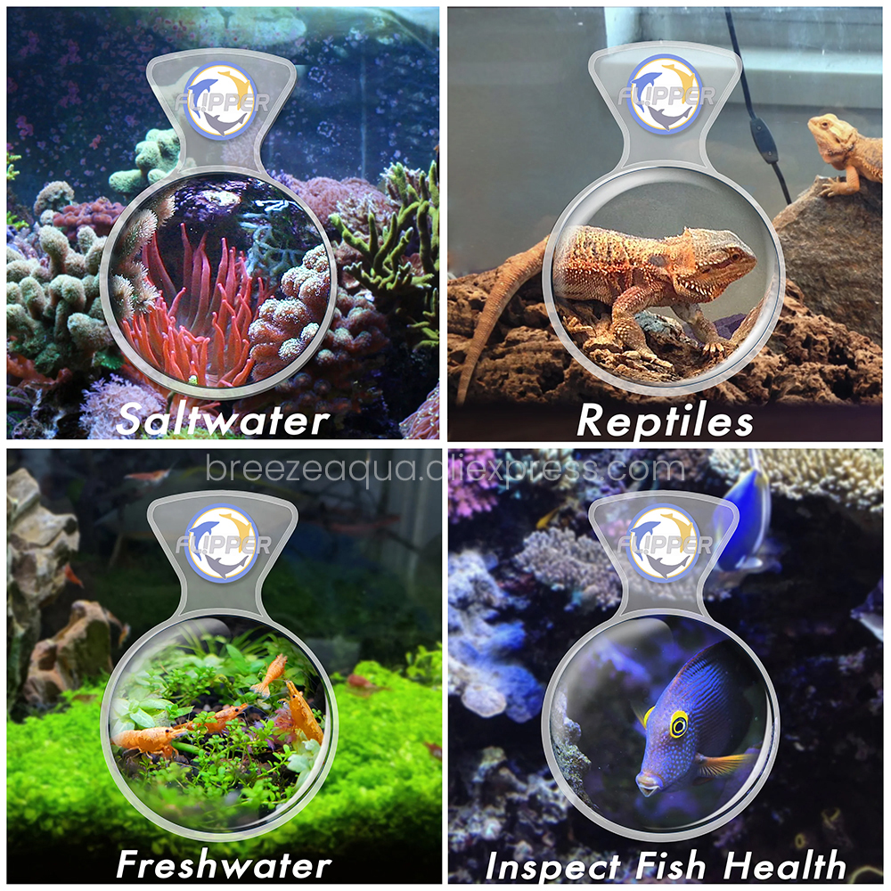Flipper DeepSee cam akrilik ta - Aquarium Fish Freshwater incelemesi ve fiyatı
