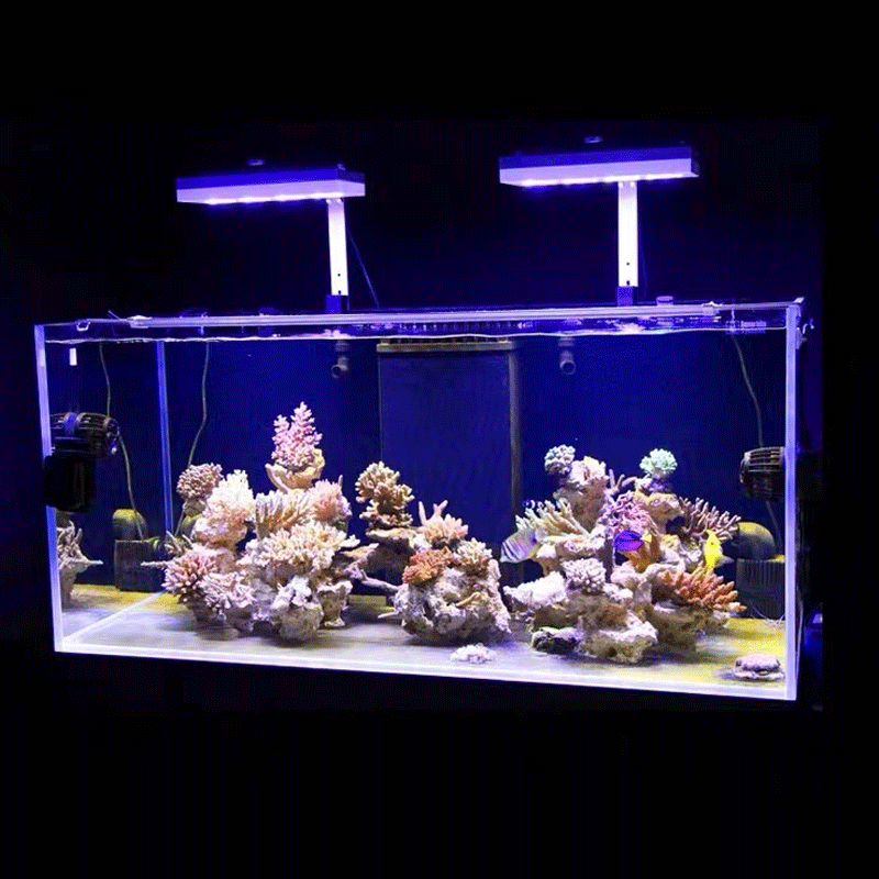 Aqua Illumination AI Hydra 32H - Aquarium Fish Black incelemesi ve fiyatı