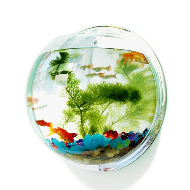 Pinsjar Akrilik Balık Kase Duv - Aquarium Fish In Bowl incelemesi ve fiyatı