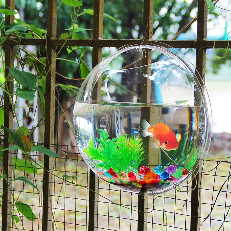 Pinsjar Akrilik Balık Kase Duv - Aquarium Fish In Bowl incelemesi ve fiyatı