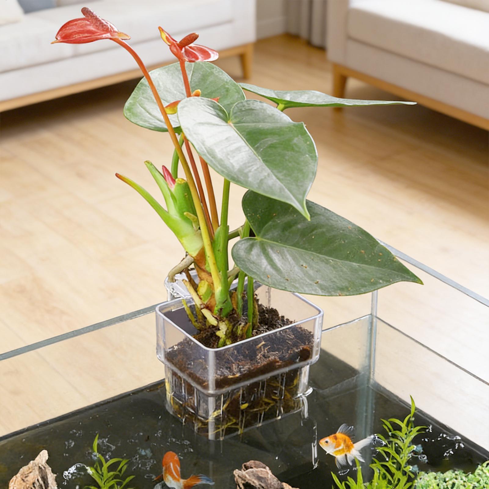 Akvaryum Bitki Sepeti Şeffaf B - Aquarium Fish Pot incelemesi ve fiyatı