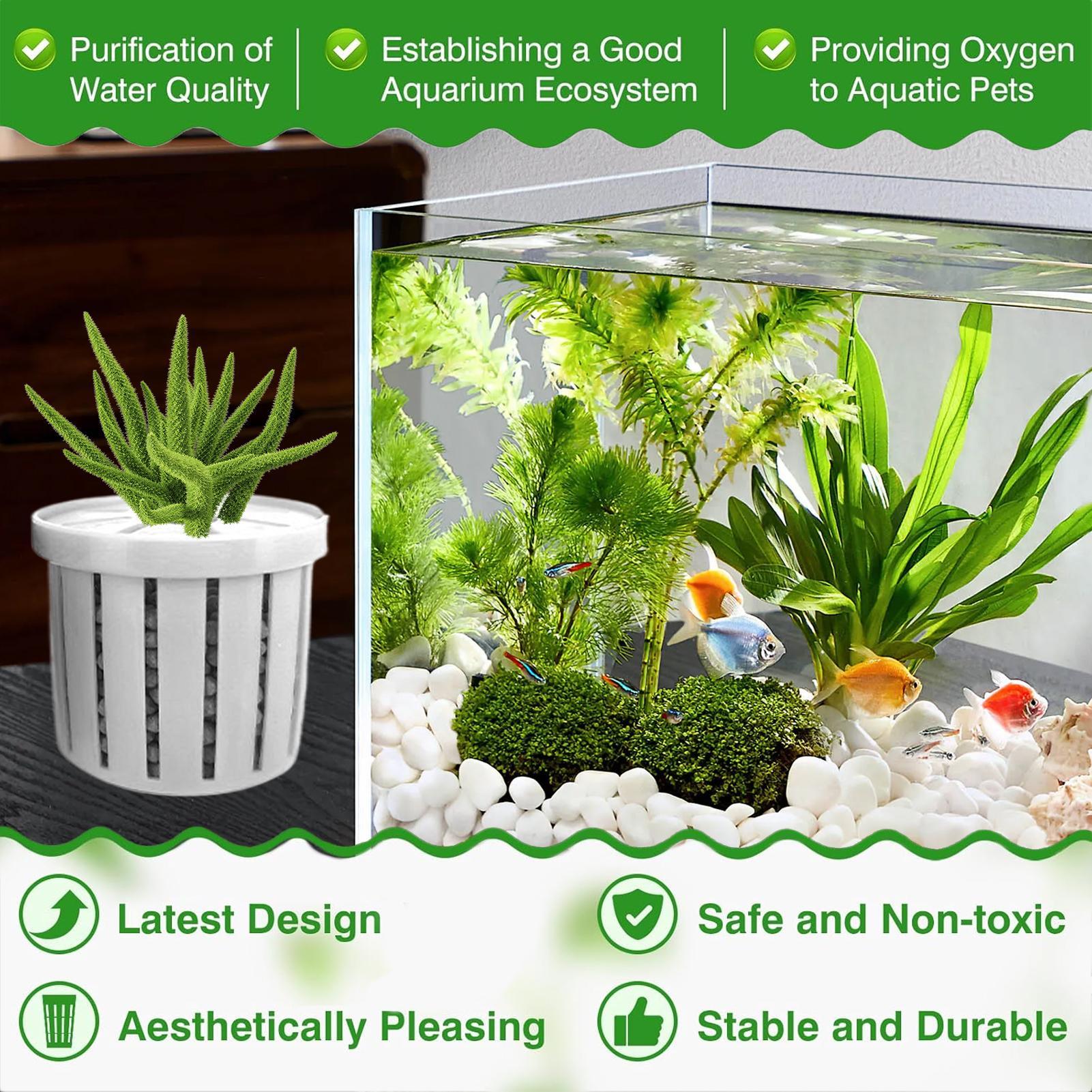 4 adet akvaryum saksı süngeri  - Aquarium Fish Pot incelemesi ve fiyatı
