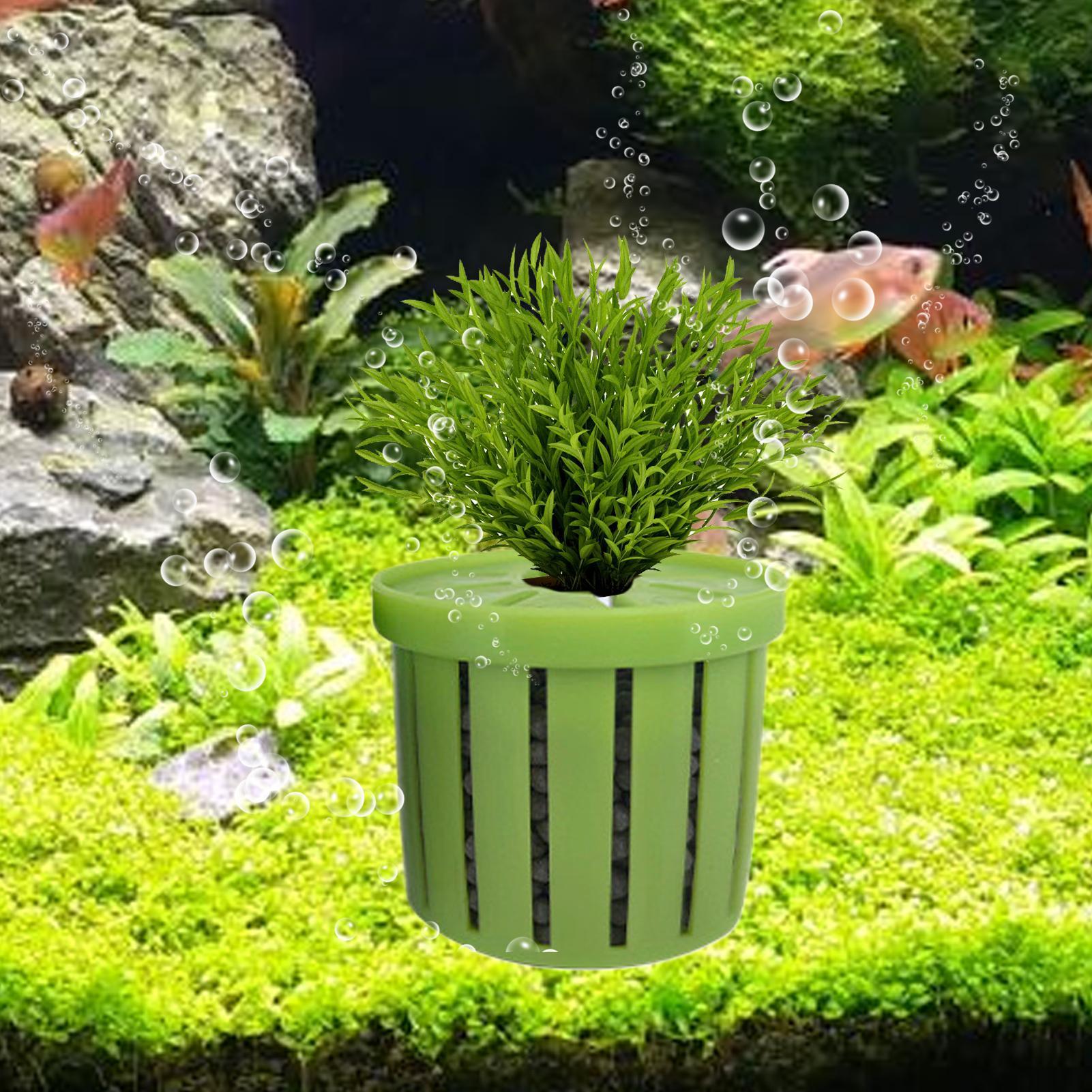 4 adet akvaryum saksı süngeri  - Aquarium Fish Pot incelemesi ve fiyatı