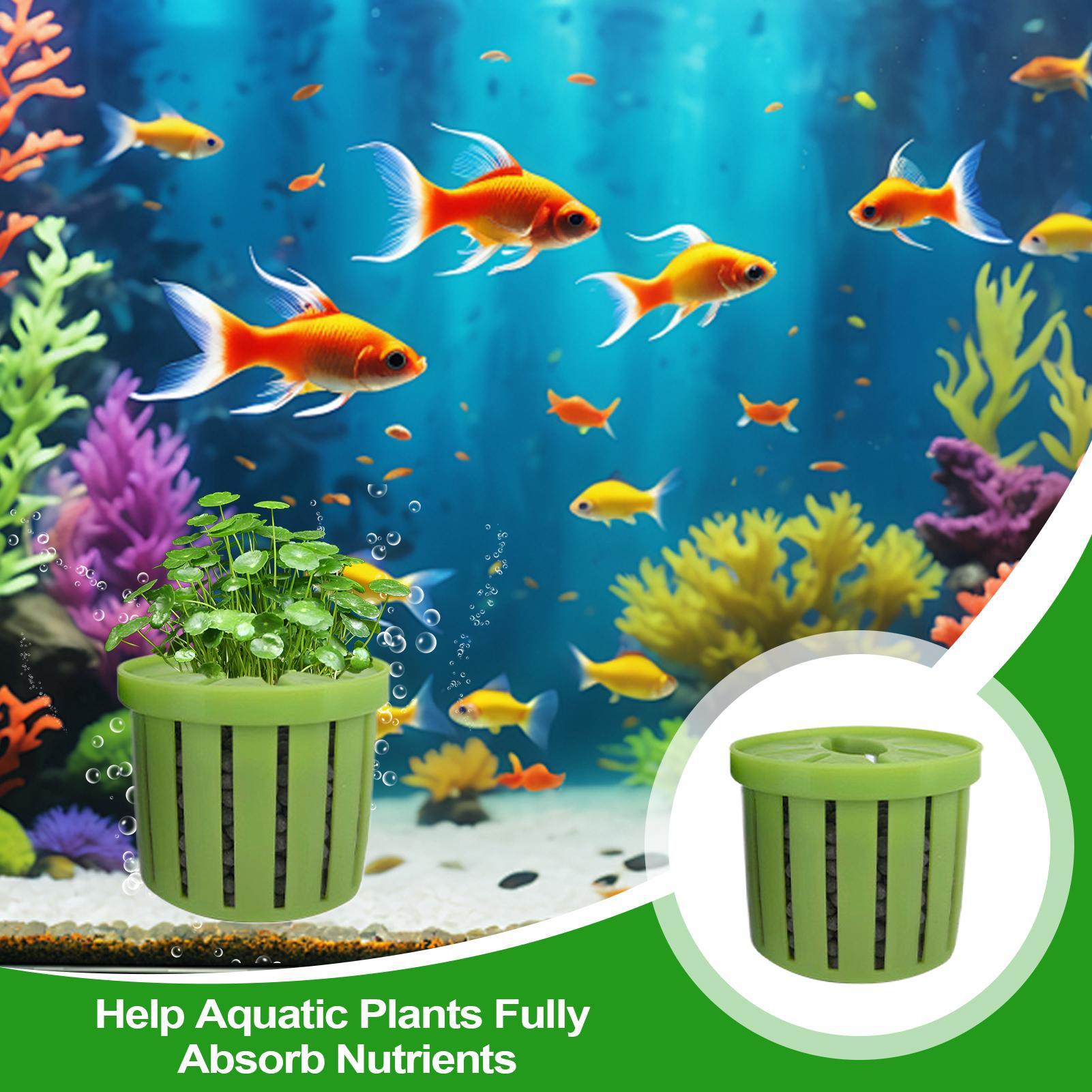 4 adet akvaryum saksı süngeri  - Aquarium Fish Pot incelemesi ve fiyatı