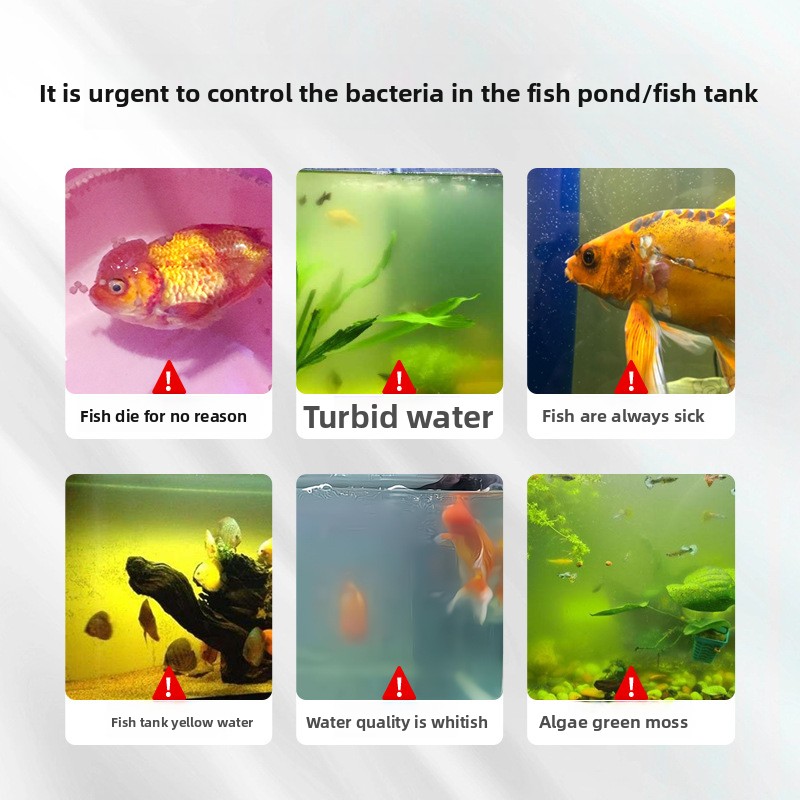 HUACHU Tatlı Su Balıkları İçin - Aquarium Fish Freshwater incelemesi ve fiyatı