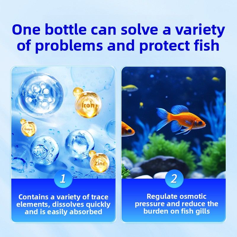 HUACHU Tatlı Su Balıkları İçin - Aquarium Fish Freshwater incelemesi ve fiyatı