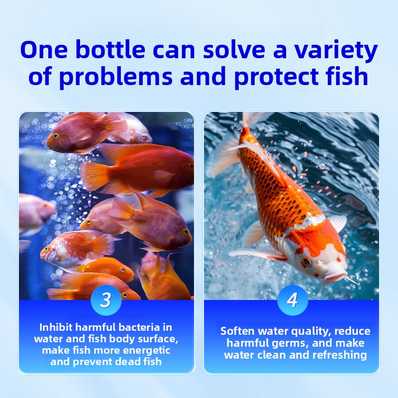 HUACHU Tatlı Su Balıkları İçin - Aquarium Fish Freshwater incelemesi ve fiyatı