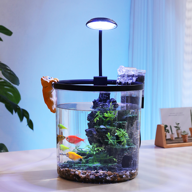 Kompakt Yuvarlak Japon Balığı  - Aquarium Fish In Bowl incelemesi ve fiyatı