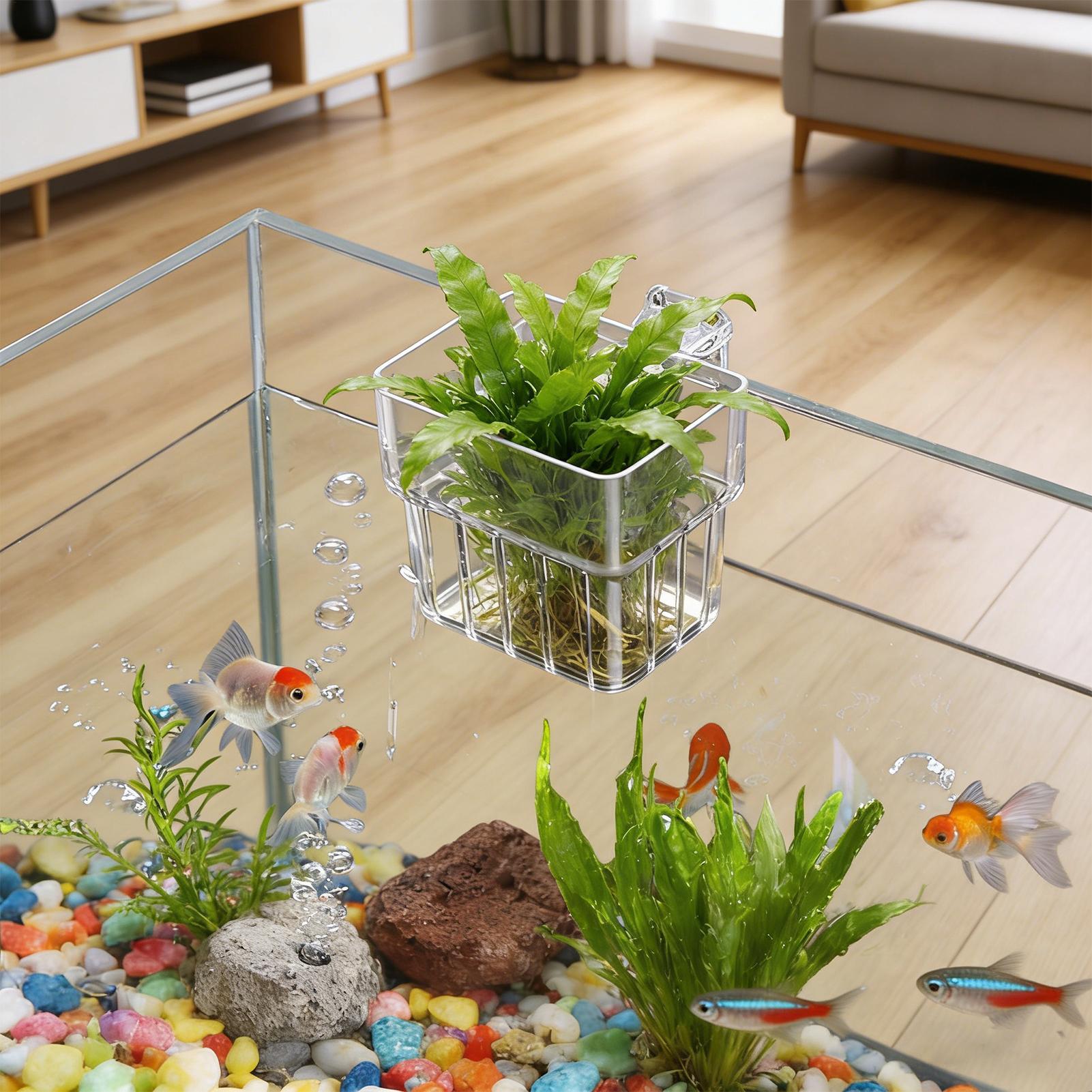 Şeffaf Asılabilir Akvaryum Bit - Aquarium Fish Pot incelemesi ve fiyatı