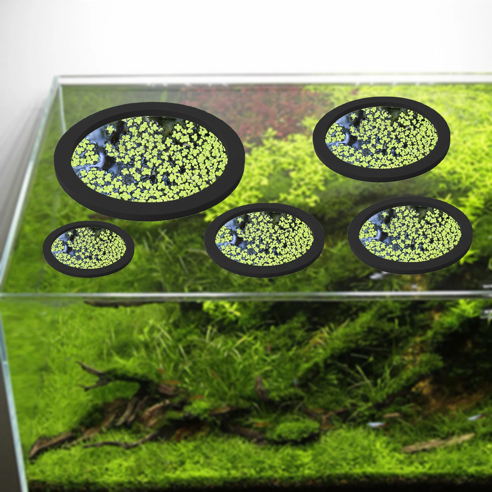 5 adet EVA balık besleme halka - Aquarium Fish Photography incelemesi ve fiyatı