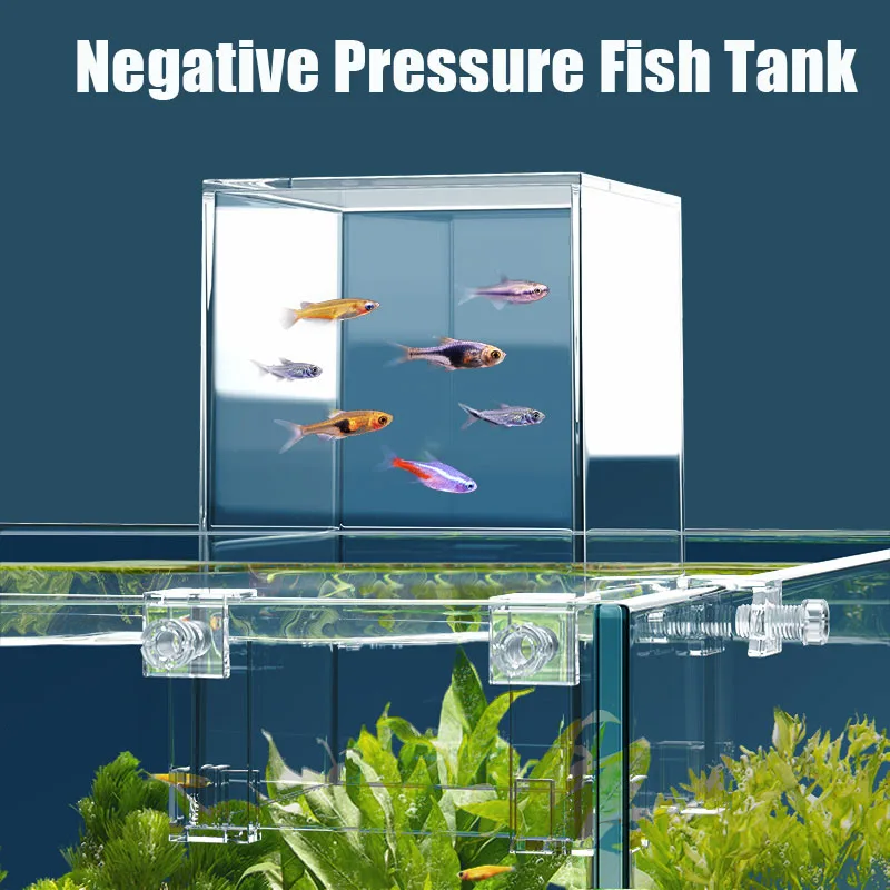 Yaratıcı akvaryum tankları neg - Aquarium Fish In Bowl incelemesi ve fiyatı